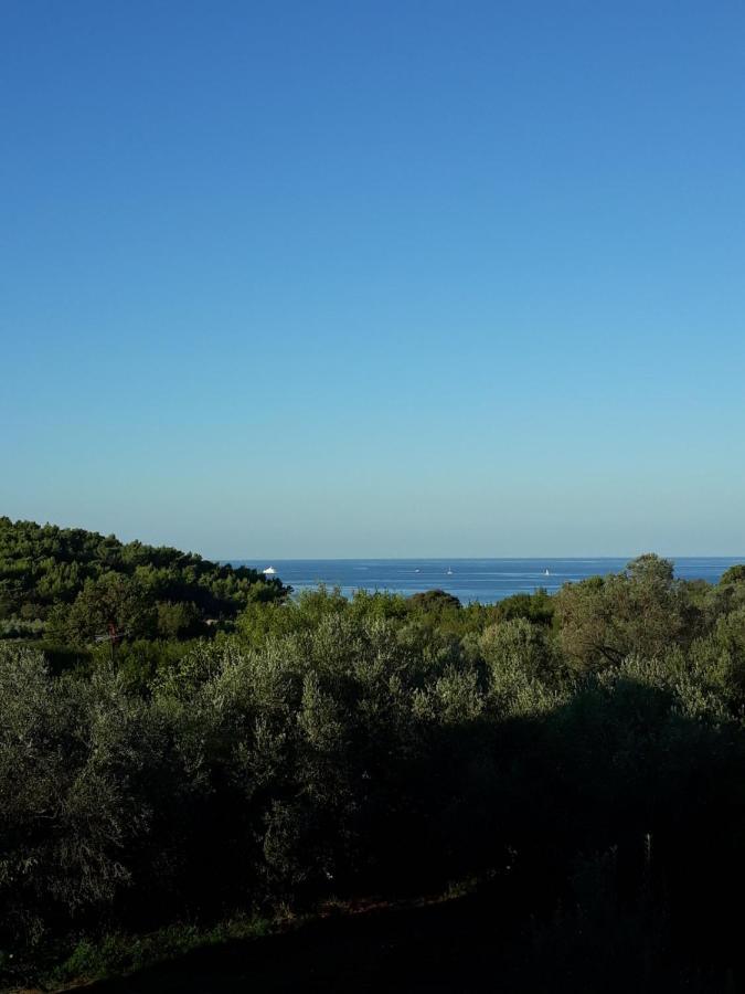 Casa Nonna Tereza Appartement Premantura Buitenkant foto