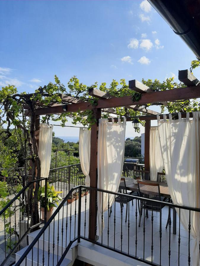 Casa Nonna Tereza Appartement Premantura Buitenkant foto